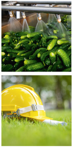 Safety environment essential criteria CC17 hat cucumbers